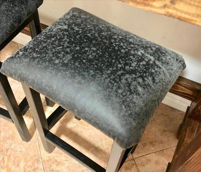 Bar stool with heavy mold colonization