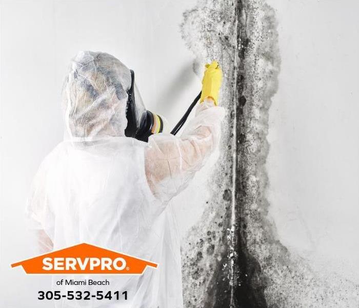 A mold remediation technician removes black mold from a wall. 